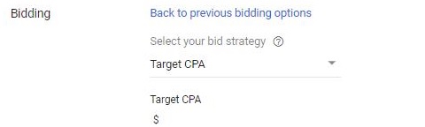 google ads bidding strategies